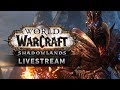 World of Warcraft Shadowlands - Developer Update Livestream