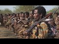 War in Ethiopia: Oromo Liberation Army advances towards Addis Ababa • FRANCE 24 English