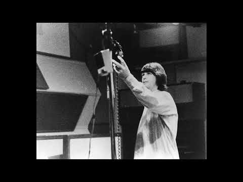 The Beach Boys - 'Til I Die (Remix)