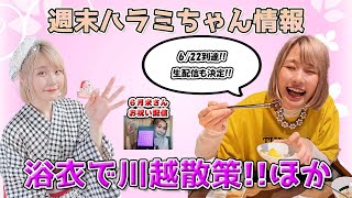 週末ハラミちゃん情報♪仲良し！川越散歩ほか　～元楽器屋店員の音楽ニュース～