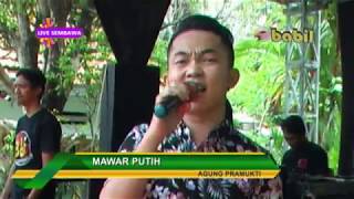 Download lagu MAWAR PUTIH BY AGUNG mp3