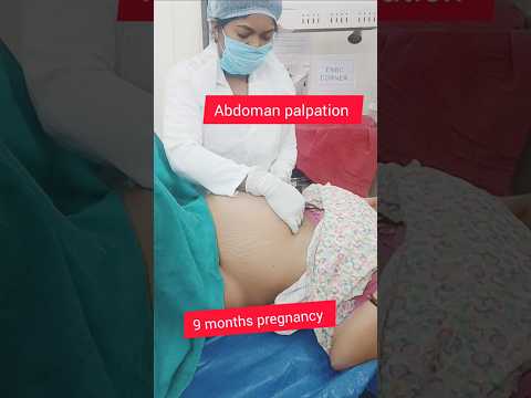9 months pregnancy abdomen palpation #cute #newbornbaby #baby