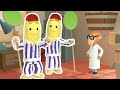 Bananas On Patrol Bananas In Pyjamas Season 1 Full Episodes Bananas In Pyjamas