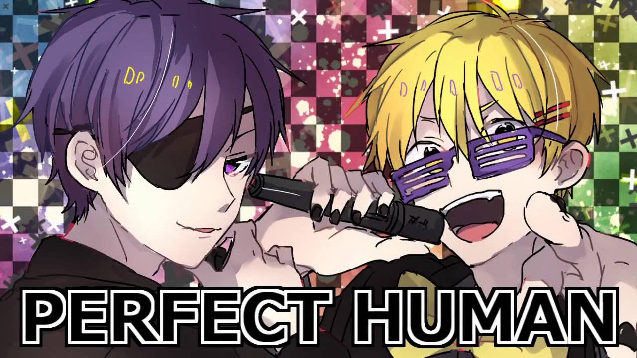 PERFECT HUMAN 【歌ってみた】