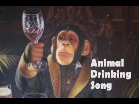 Animal Drinking Song (Irish Style)