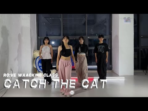 [danceokay] CATCH THE CAT / RO:VE WAACKING CLASS