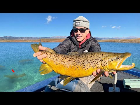 3 Days Sight Fishing GIANT Trout! - SOLO Car Camping