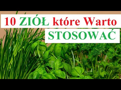 10 ZIÓŁ które Warto STOSOWAĆ