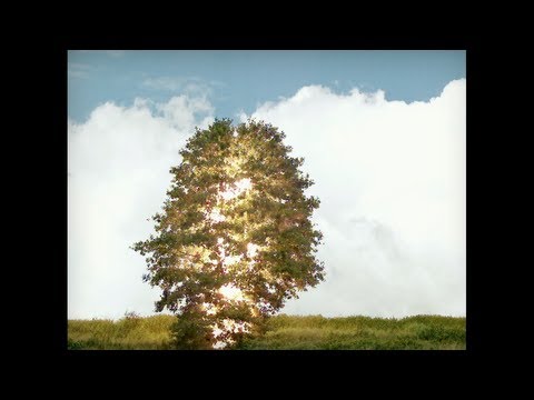 About Group - All Is Not Lost (Official Video)