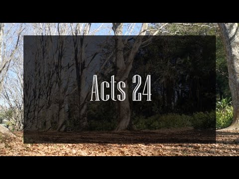 A reading of Acts 24 from the New Living Translation