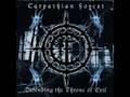 Put to Sleep Like a Sick Animal - Carpathian ...