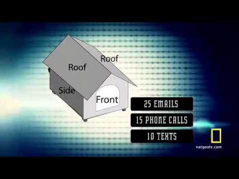 Multitasking experiment