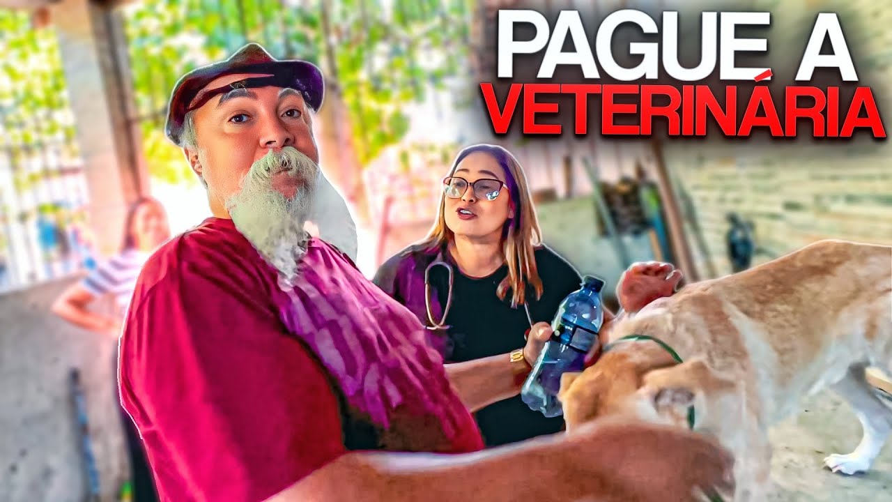 LUIZ DO SOM NÃO QUER PAGAR A VETERINÁRIA QUE ATENDEU PITOCO | TURMA DO SÍTIO