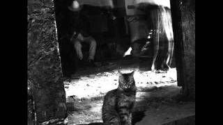 Allison Crowe - Silence