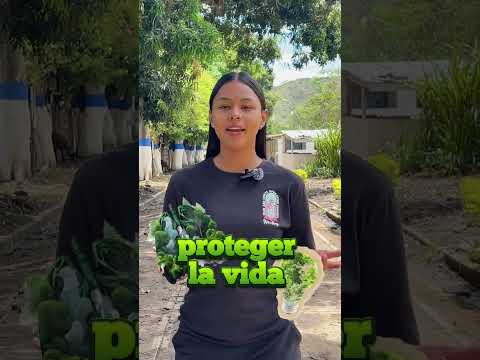 Feria Ambiental INTEP 2025