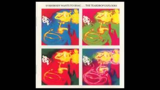 The Teardrop Explodes - In-Psychlopaedia