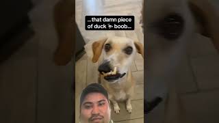 Download lagu https://youtube.com/shorts/_UcQYBxtdMk?si=xX-52qUZ-iUCxR6l YouTube new tg song video bishalmagar88 mp3 Download lagu https://youtube.com/shorts/_UcQYBxtdMk?si=xX-52qUZ-iUCxR6l YouTube new tg song video bishalmagar88 mp3