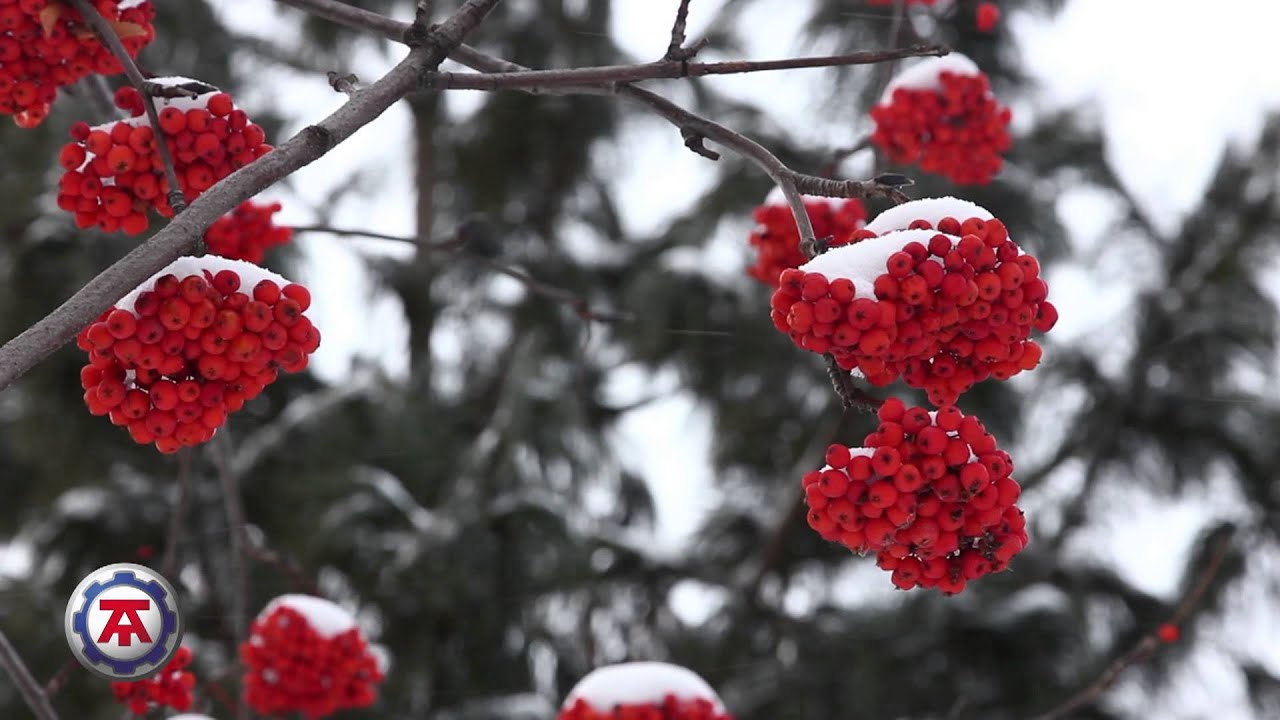 Автоодеяло Автотепло для двигателя №7