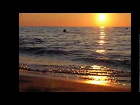 La gavina - Marina Rossell