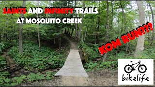 Saints Loop and infinity Connector - Brand New TRAIL