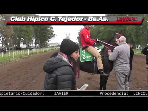 Hipicas en Carlos tejedor - Bs.As. Domingo 17 de Mayo de 2026@fotochartloyola23