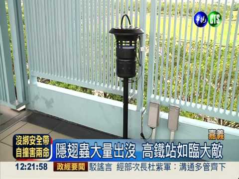 當心毀容殺手! 隱翅蟲出沒高鐵