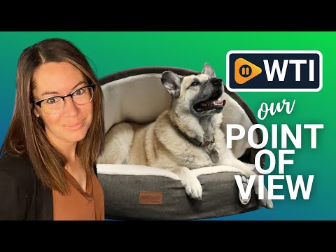SILVERLINE Peek-a-Boo Comfy Cave Pet Bed Dog Bed & Cat Bed - WTI product video review