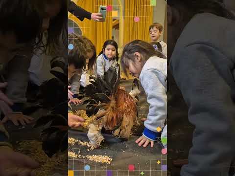 La Granja de SD – Inicial