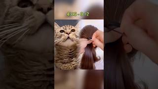 Download lagu Monsters at 2am?! #pennythecat #talkingcat mp3 Download lagu Monsters at 2am?! #pennythecat #talkingcat mp3