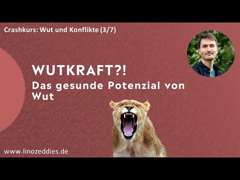 Wut als konstruktive Kraft - gesunder Ausdruck und heilsame Perspektiven, von Lino Zeddies (3/7)