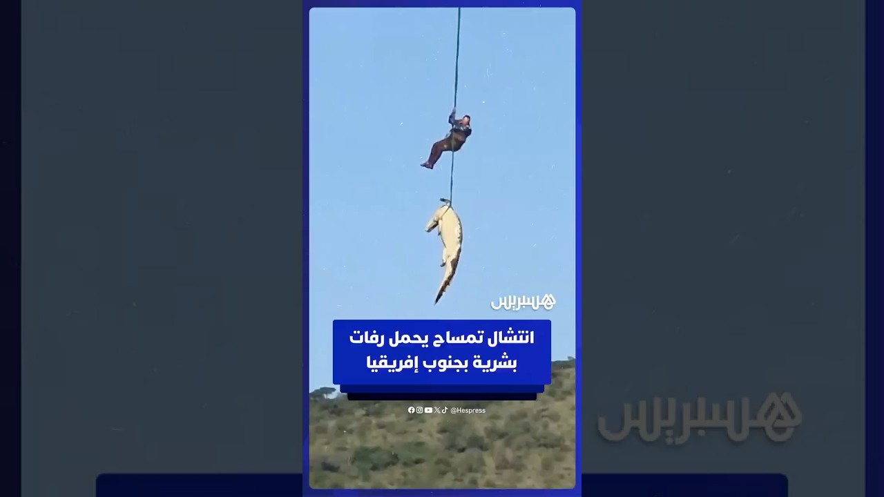 شرطي يستخدم مروحية لانتشال تمساح يشتبه في احتوائه على رفات رجل أعمال مفقود في جنوب إفريقيا thumbnail