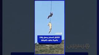 شرطي يستخدم مروحية لانتشال تمساح يشتبه في احتوائه على رفات رجل أعمال مفقود في جنوب إفريقيا thumbnail