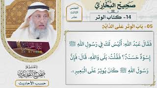 [999] حديث ابن عمر: أليس لك في رسول الله أسوة حسنة [[كتاب الوتر] - باب الوتر على الدابة]