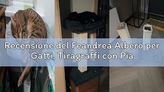 Recensione del Feandrea Albero per Gatti, Tiragraffi con Piattaforma in Peluche da 40 x 30 cm, Graff