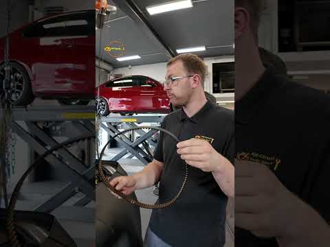 Timing belt in the oil? Here's what's behind it! #ford