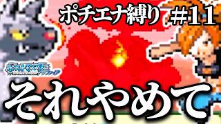 【ポチエナ縛り】ワンパンからの逆転！？ポチエナ1匹でコータスを封じた戦術がヤバい【ポケモンサファイア#11】