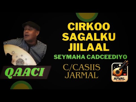 Cirkoo sagalka jiilaal (suleekha) - Cabdicasiis Jarmal - Qaaci @AFYALSTUDIO