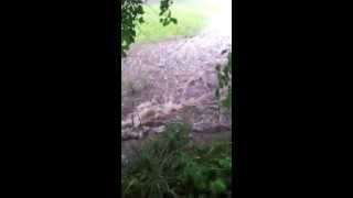 preview picture of video 'Flash Flooding in New Castle, PA'