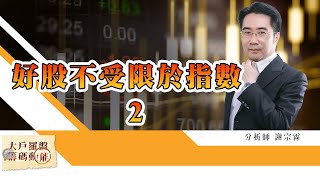 好股不受限於指數2 (圖)