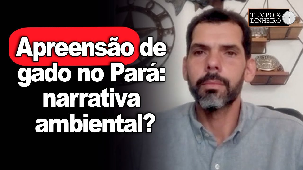 Apreensão de gado no Pará: narrativa ambiental?
