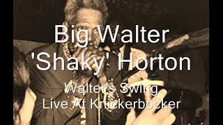 Big Walter Horton-Walter's Swing (Live At Knickerbocker)