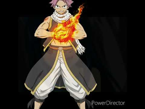 Tout les chasseurs de dragons Fairy tail