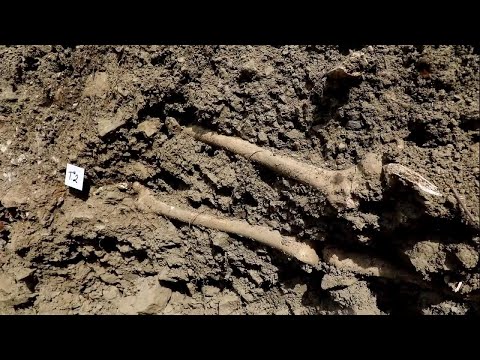 Gorizia, sette scheletri riemergono dal cantiere del Castello