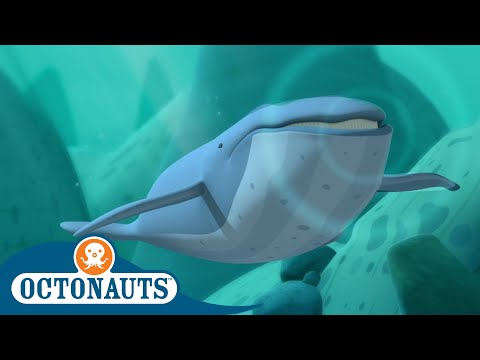 Sounds of the Sea