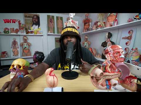 THE IMPORTANCE OF THE ETERNAL/INTERNAL ORGANS OF THE HUMAN BODY & WHY ARE THEY BEING HARVESTED???