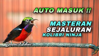 Download lagu KONIN GACOR FULL ISIAN TEMBAKAN SEJALURAN AUDIO JERNIH MUDAH MASUK KE BURUNG COCOK BUAT MASTERAN mp3 Download lagu KONIN GACOR FULL ISIAN TEMBAKAN SEJALURAN AUDIO JERNIH MUDAH MASUK KE BURUNG COCOK BUAT MASTERAN mp3