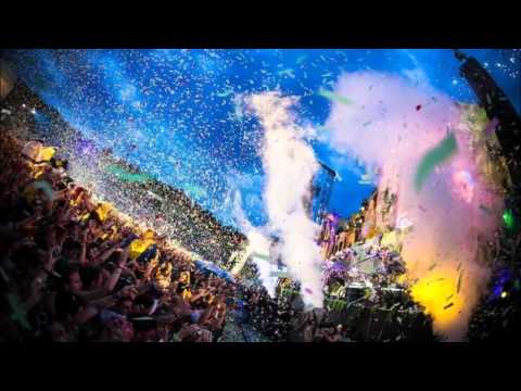 hardwell showtek how we do ft remix avicii wake me up