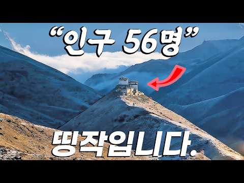 평점 9.8/10점. 이 영화로 2024년을 마무리합니다. [결말포함]