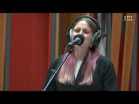 In The Attic - Stupid Fish [Izštekani]