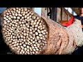 Shocking Discovery While Chopping Large Teak Wood At Sawmill